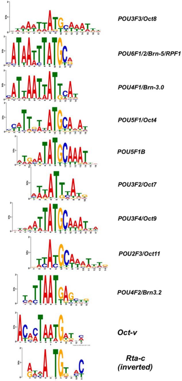 Figure 5.