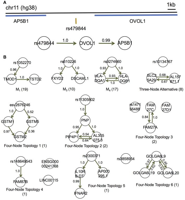 Figure 5