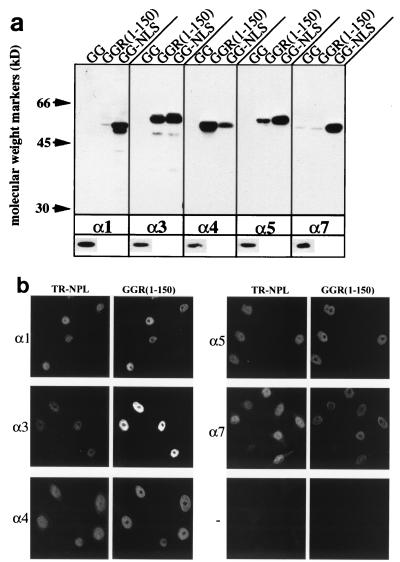 FIG. 7