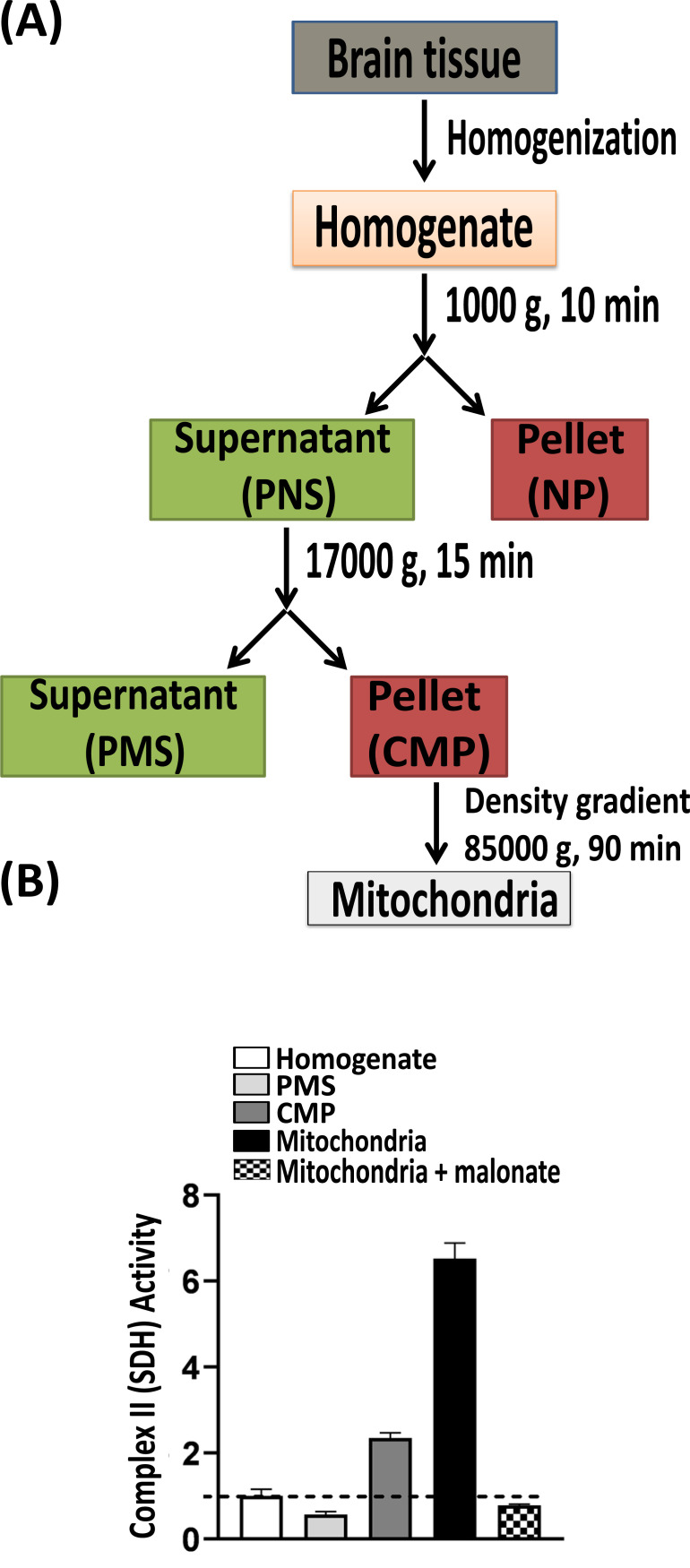 Fig. (1)