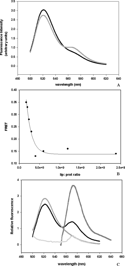 FIGURE 2.