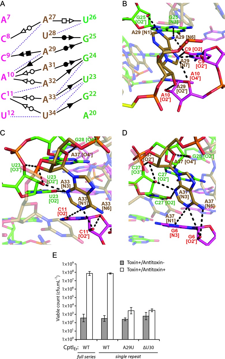 Figure 5.