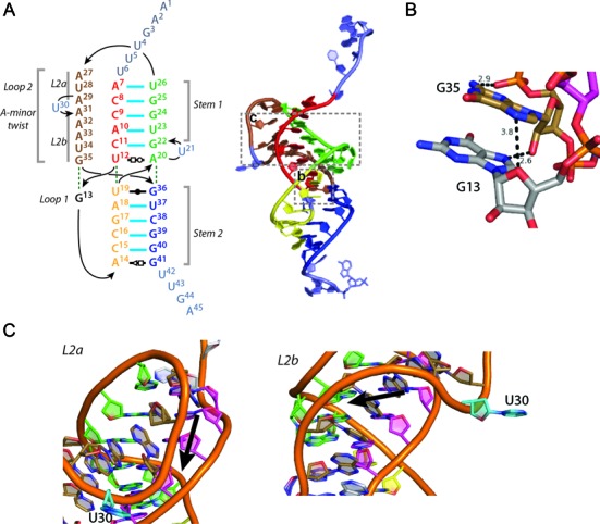 Figure 4.