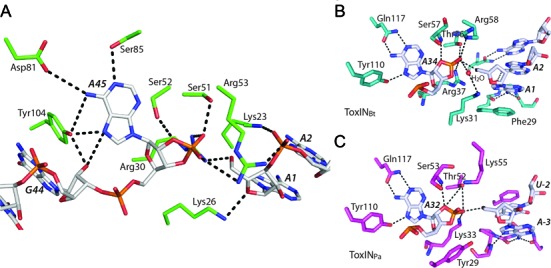 Figure 7.