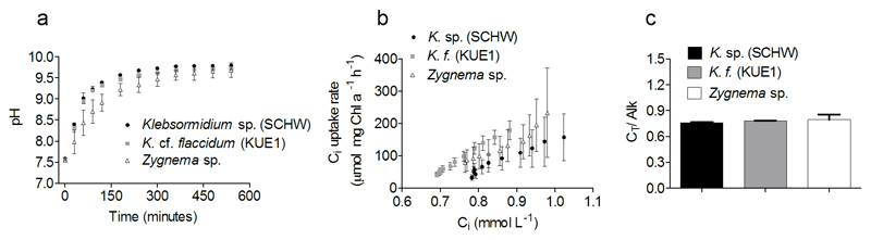 Fig. 8