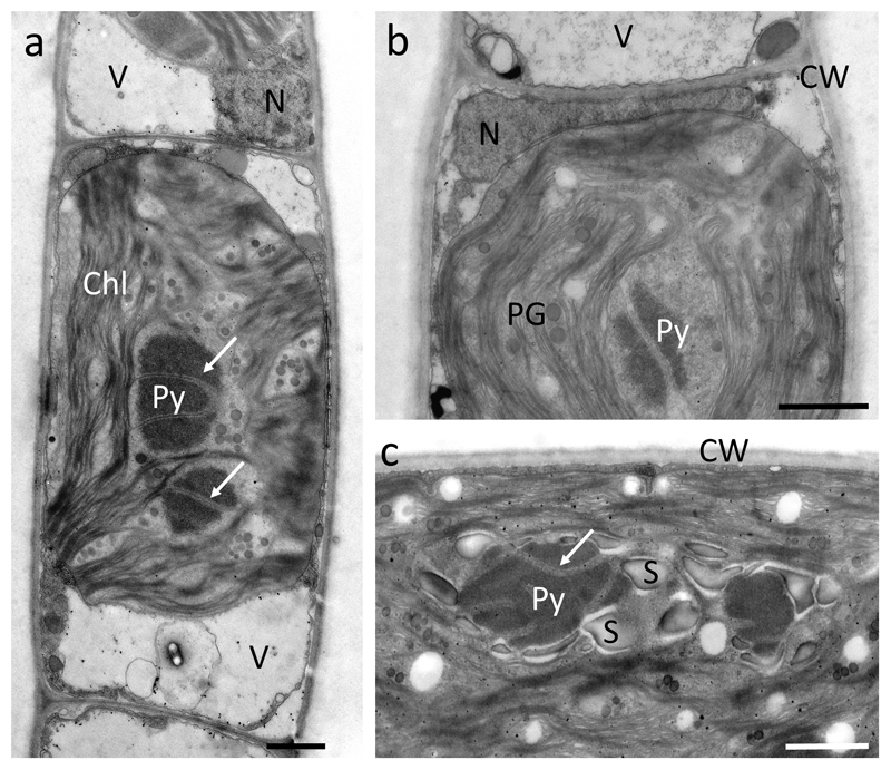 Fig. 3