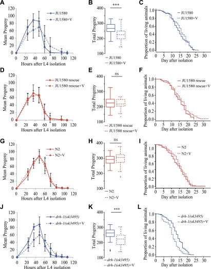 Figure 2—figure supplement 1.