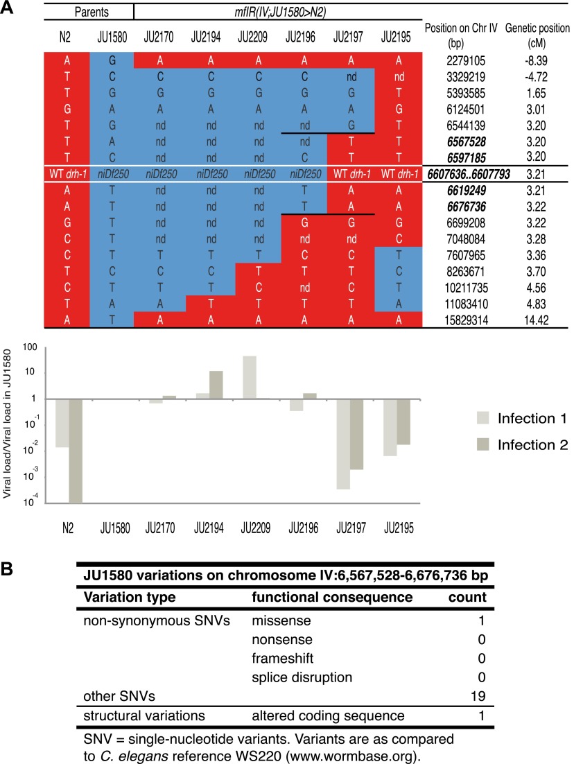 Figure 1—figure supplement 2.