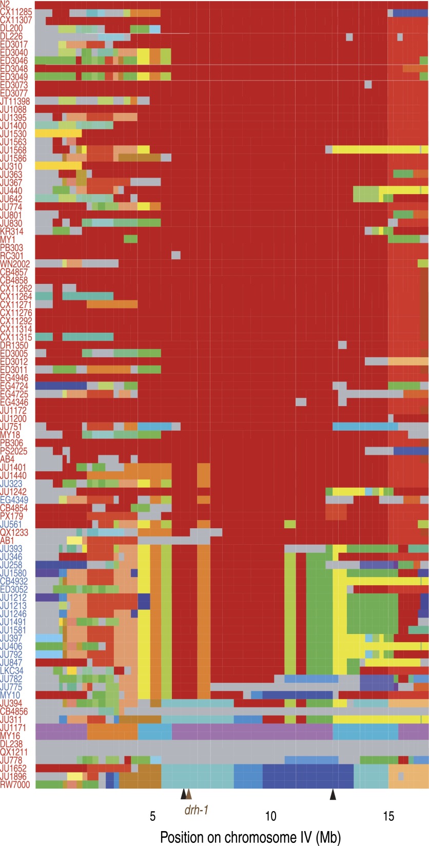 Figure 2—figure supplement 2.