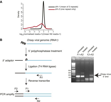 Figure 4—figure supplement 3.