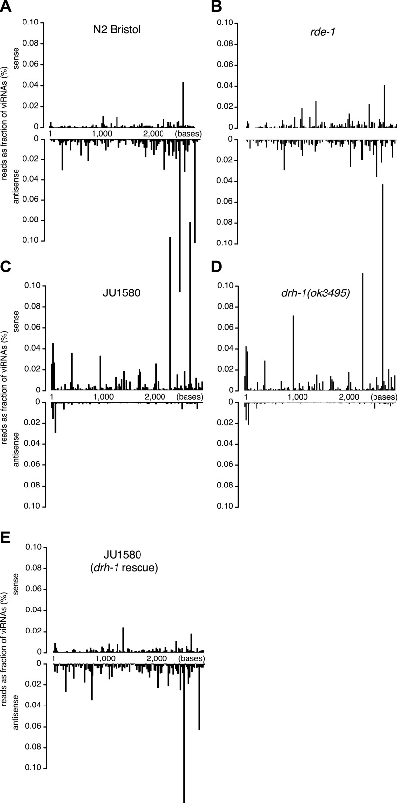 Figure 4—figure supplement 1.