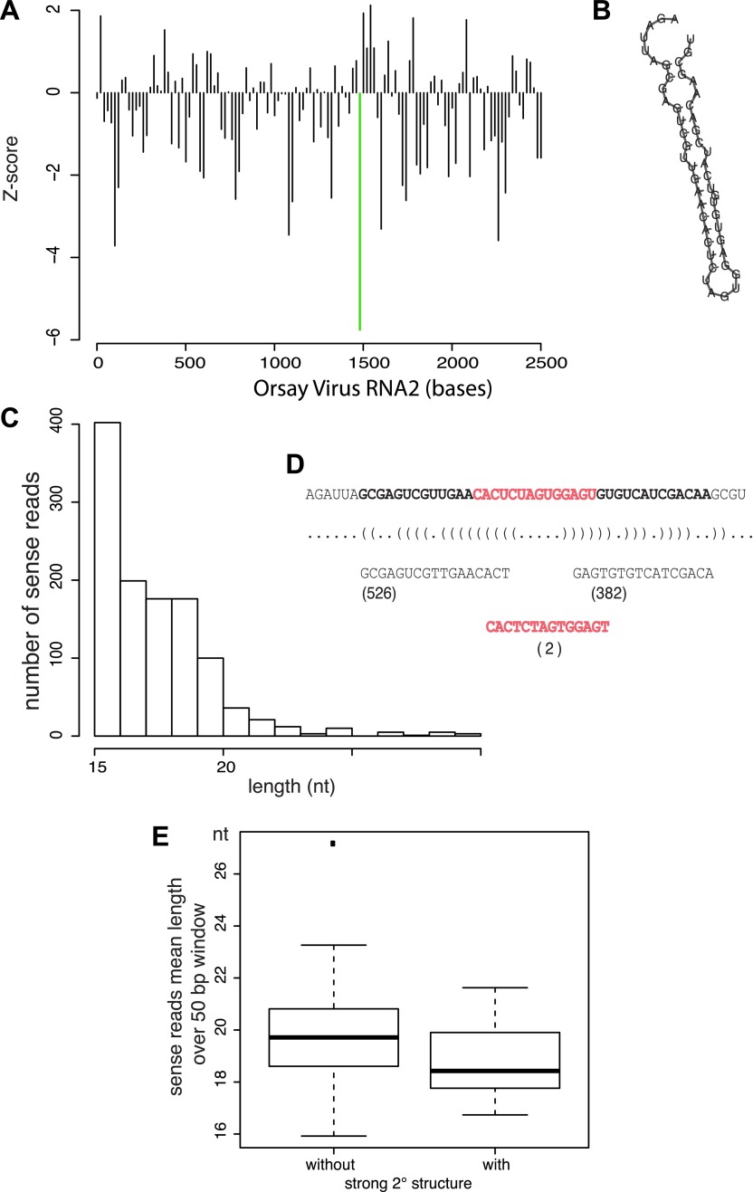 Figure 3—figure supplement 3.