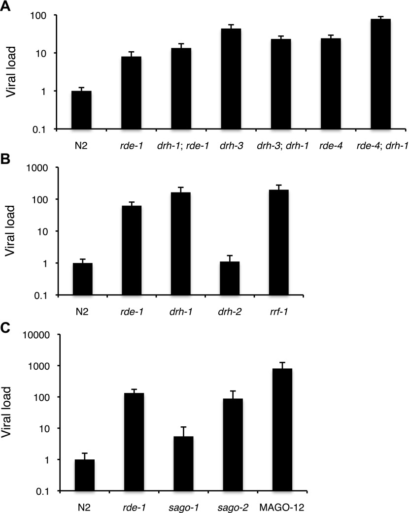 Figure 3—figure supplement 1.