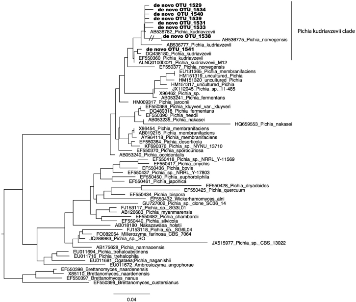 Fig E5