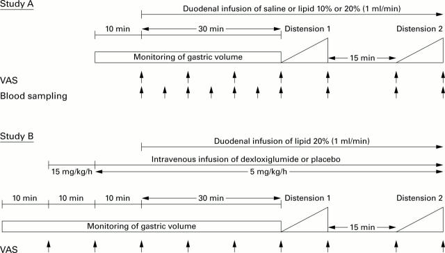 Figure 1  