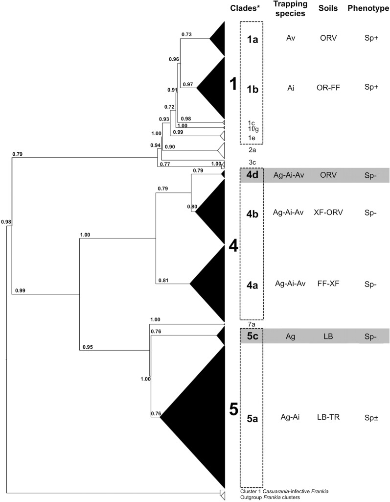 FIG 3