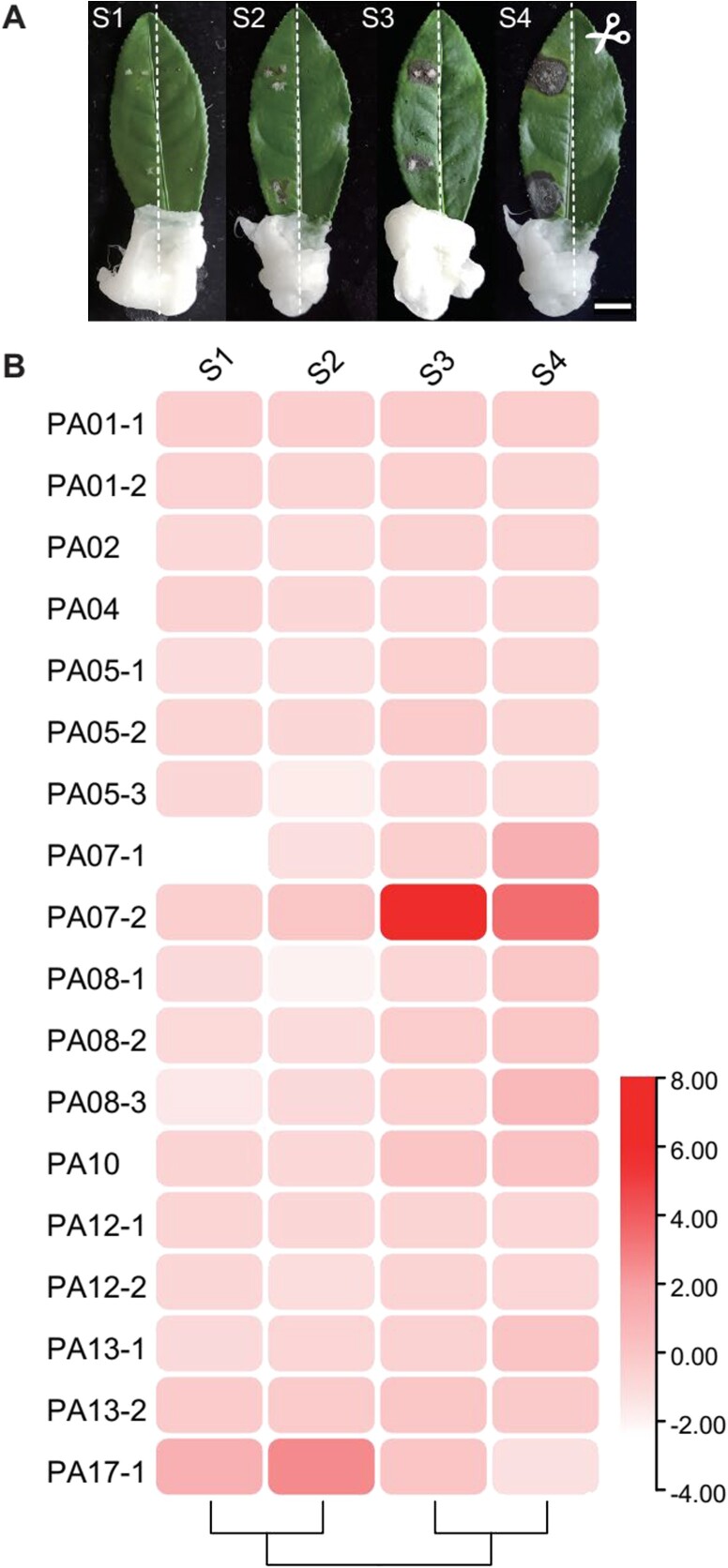 Figure 4