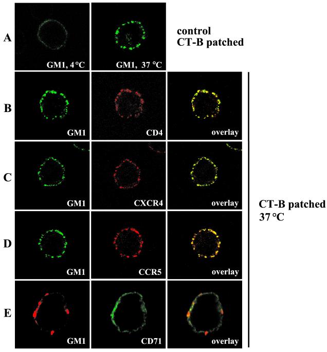 FIG. 7.