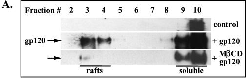 FIG. 9.