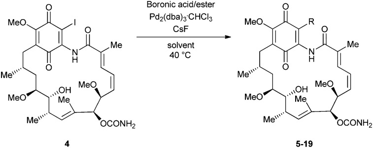 Scheme 1