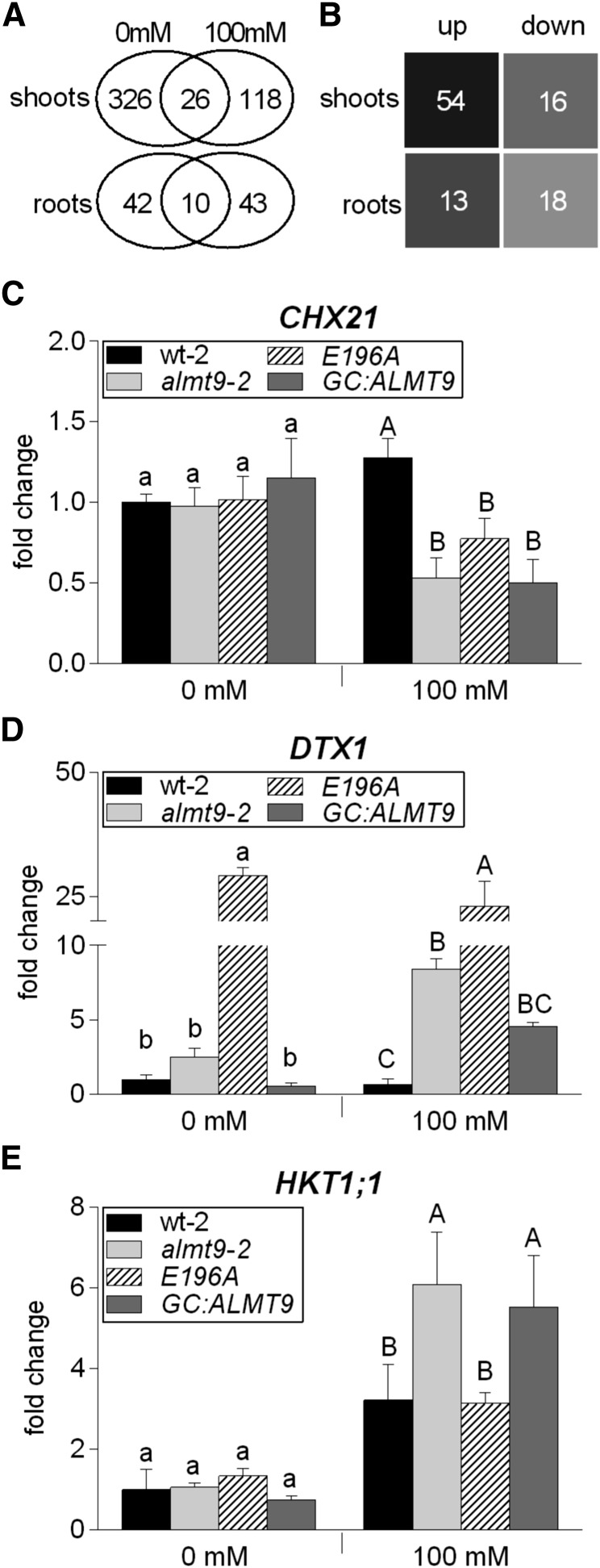 Figure 6.