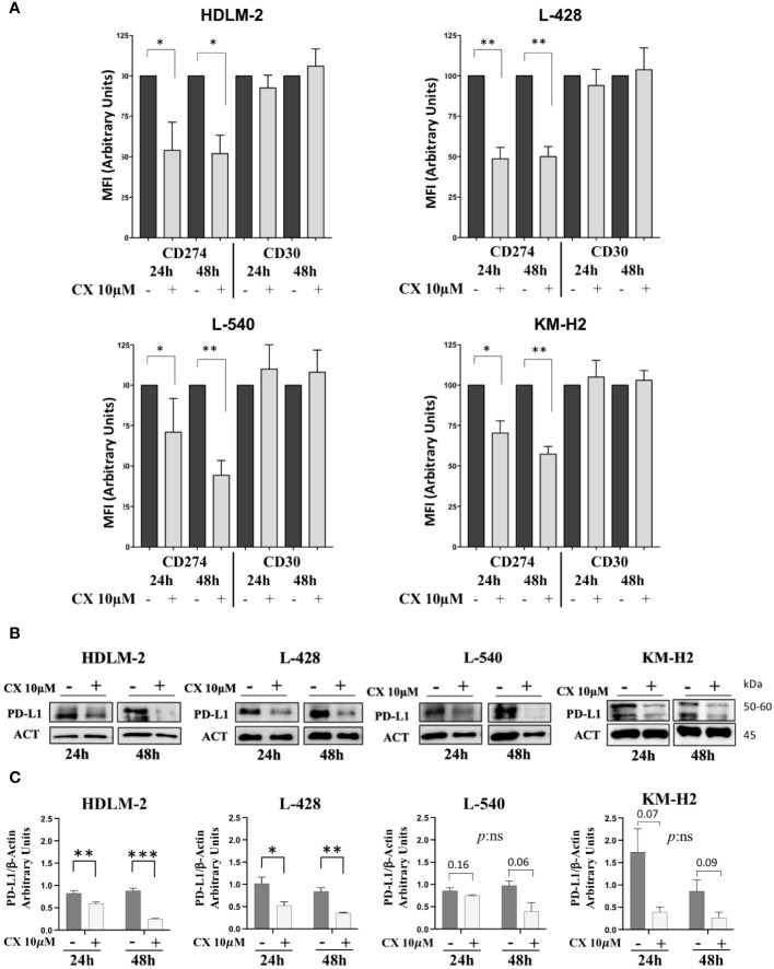 Figure 3