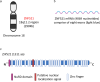 Fig. 3