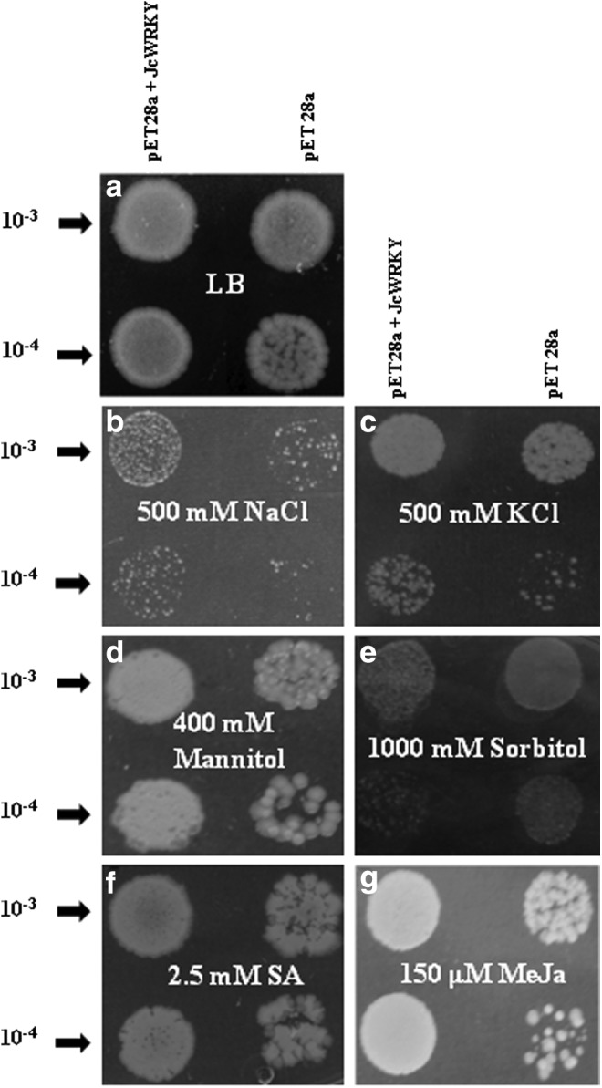 FIG. 6.