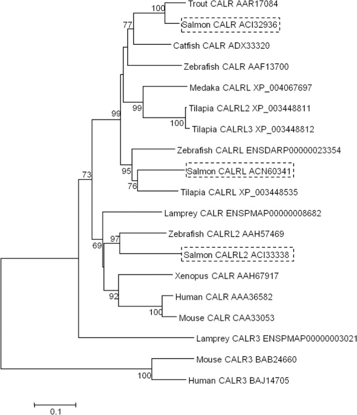 Fig 3