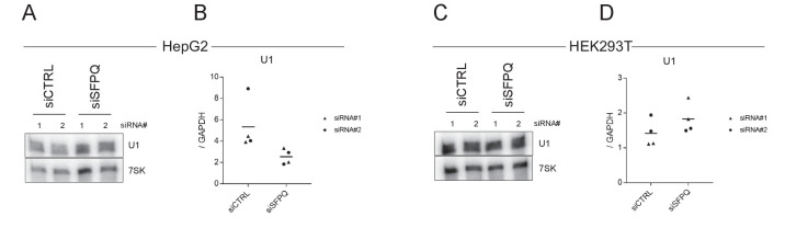 Figure 5—figure supplement 2.