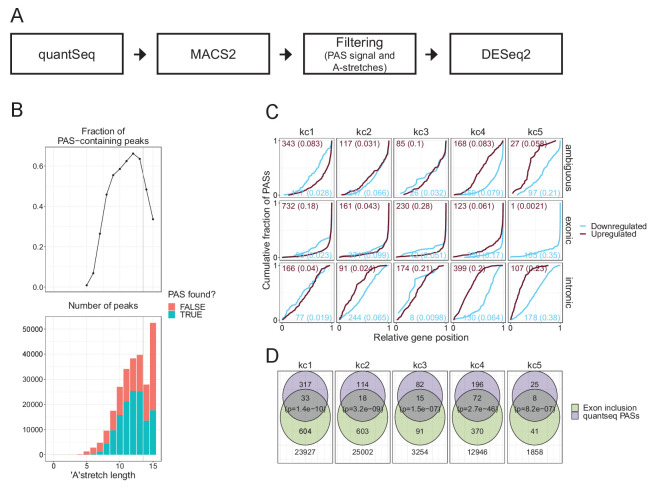 Figure 5—figure supplement 1.