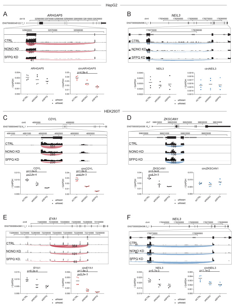 Figure 3—figure supplement 2.