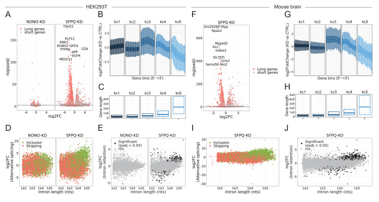 Figure 4—figure supplement 2.