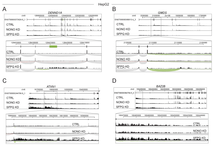 Figure 4—figure supplement 1.