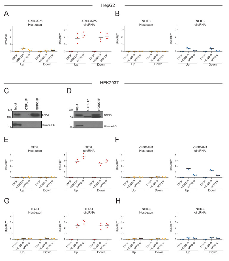 Figure 2—figure supplement 2.