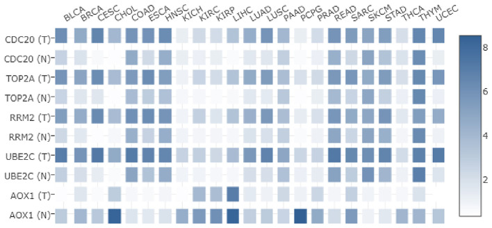 Figure 6