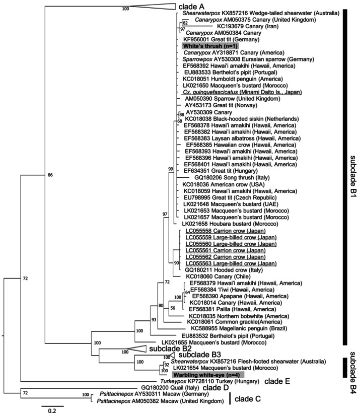 FIGURE 3