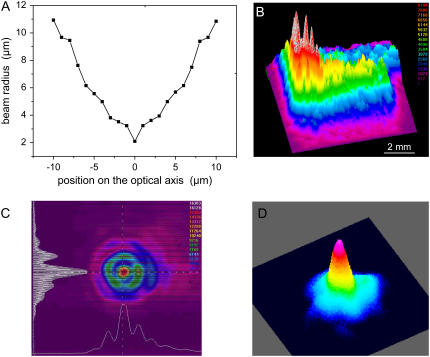 FIGURE 2