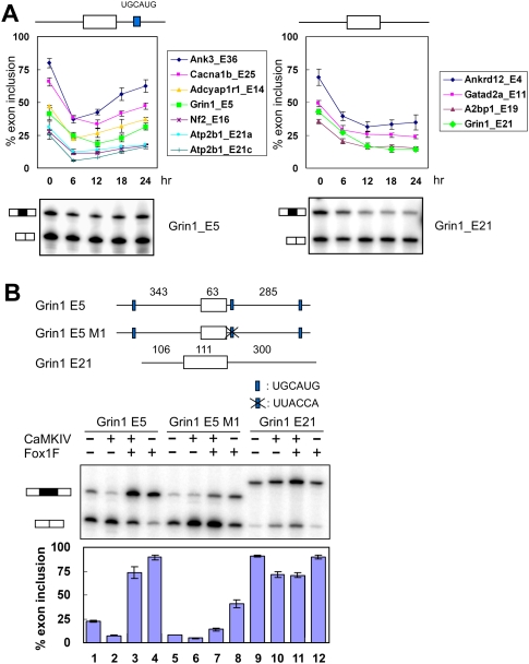 Figure 4.