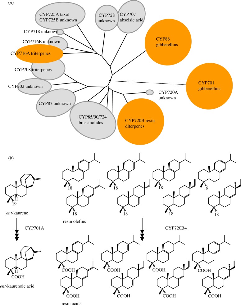 Figure 4.