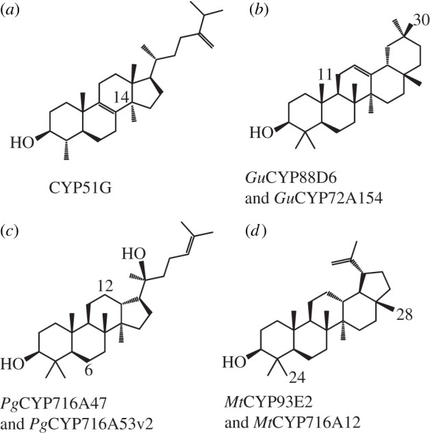 Figure 5.