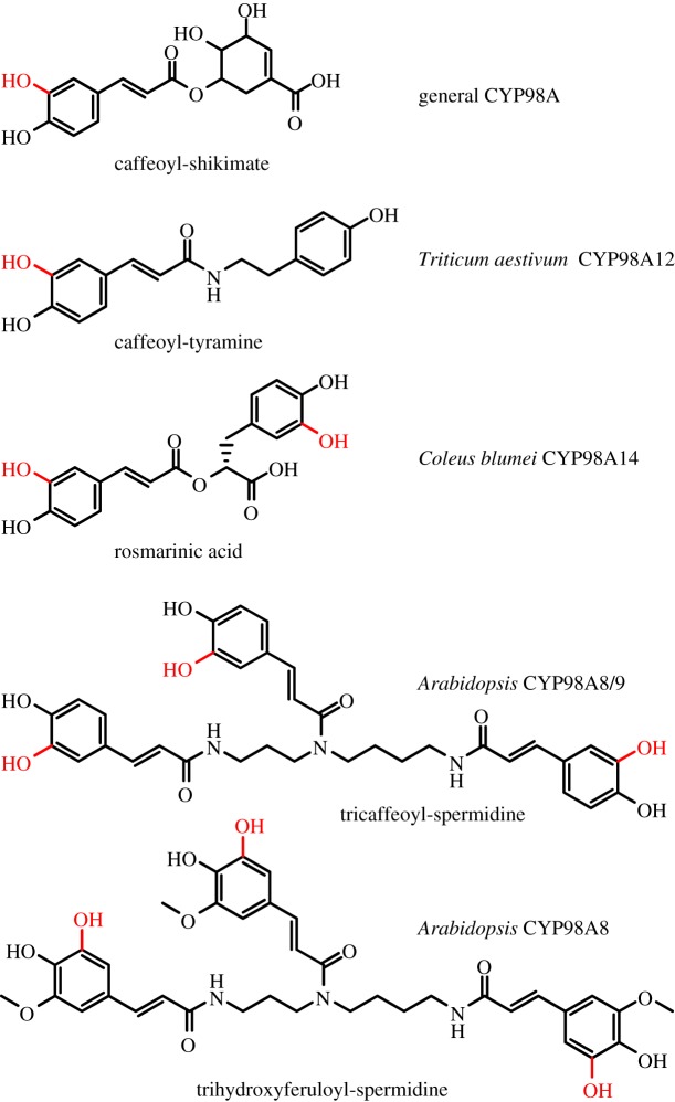 Figure 2.