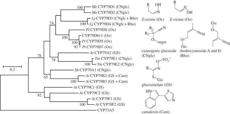 Figure 6.