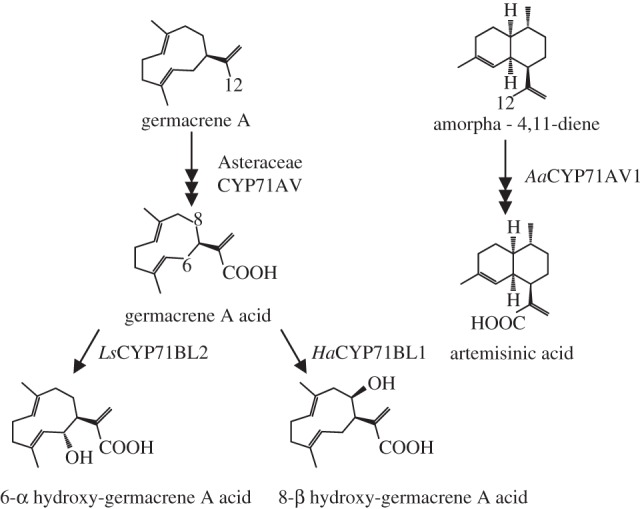 Figure 3.