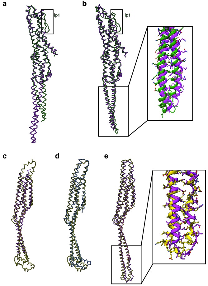 Figure 4—figure supplement 1.