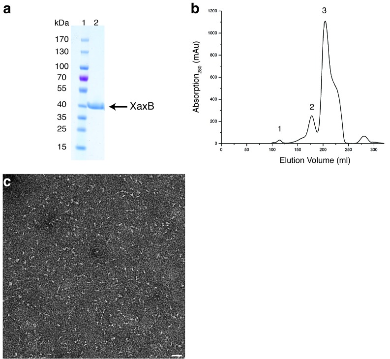 Figure 1—figure supplement 2.