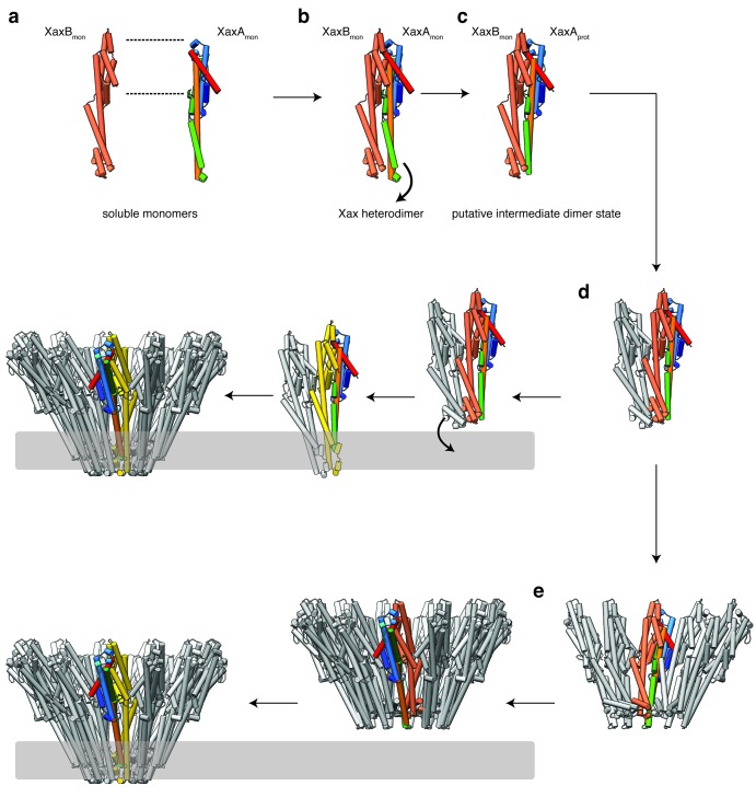 Figure 9—figure supplement 1.