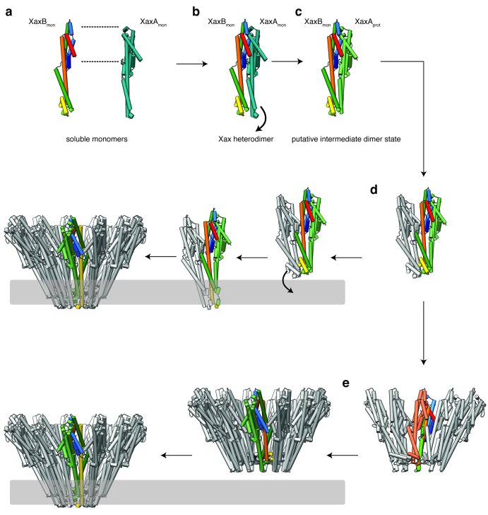 Figure 9—figure supplement 2.