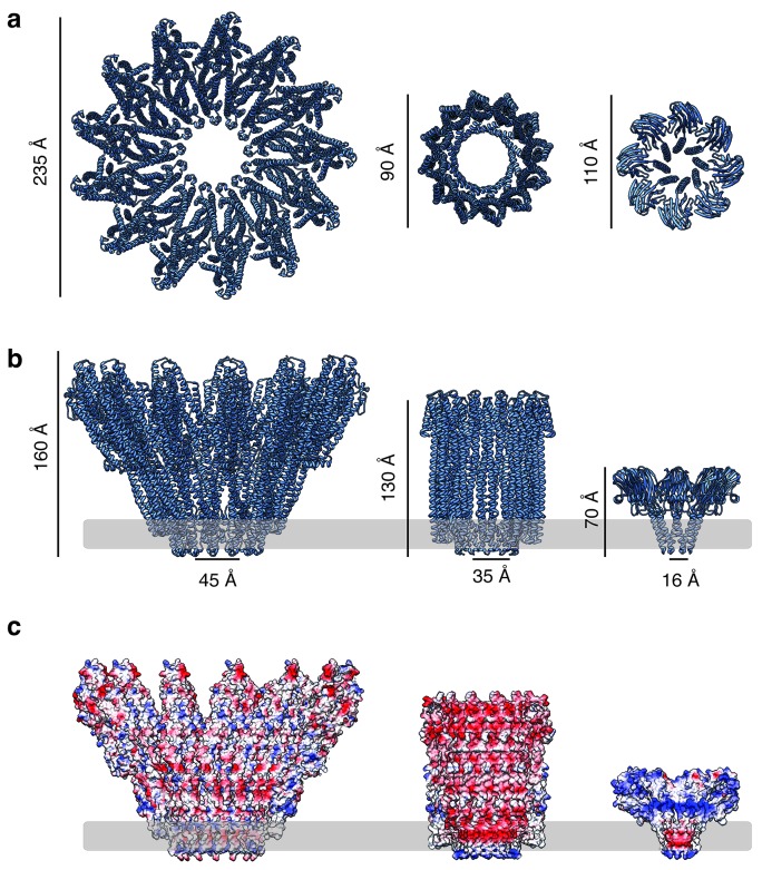 Figure 3—figure supplement 9.