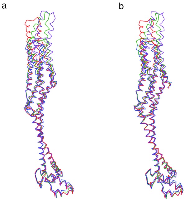 Figure 1—figure supplement 5.